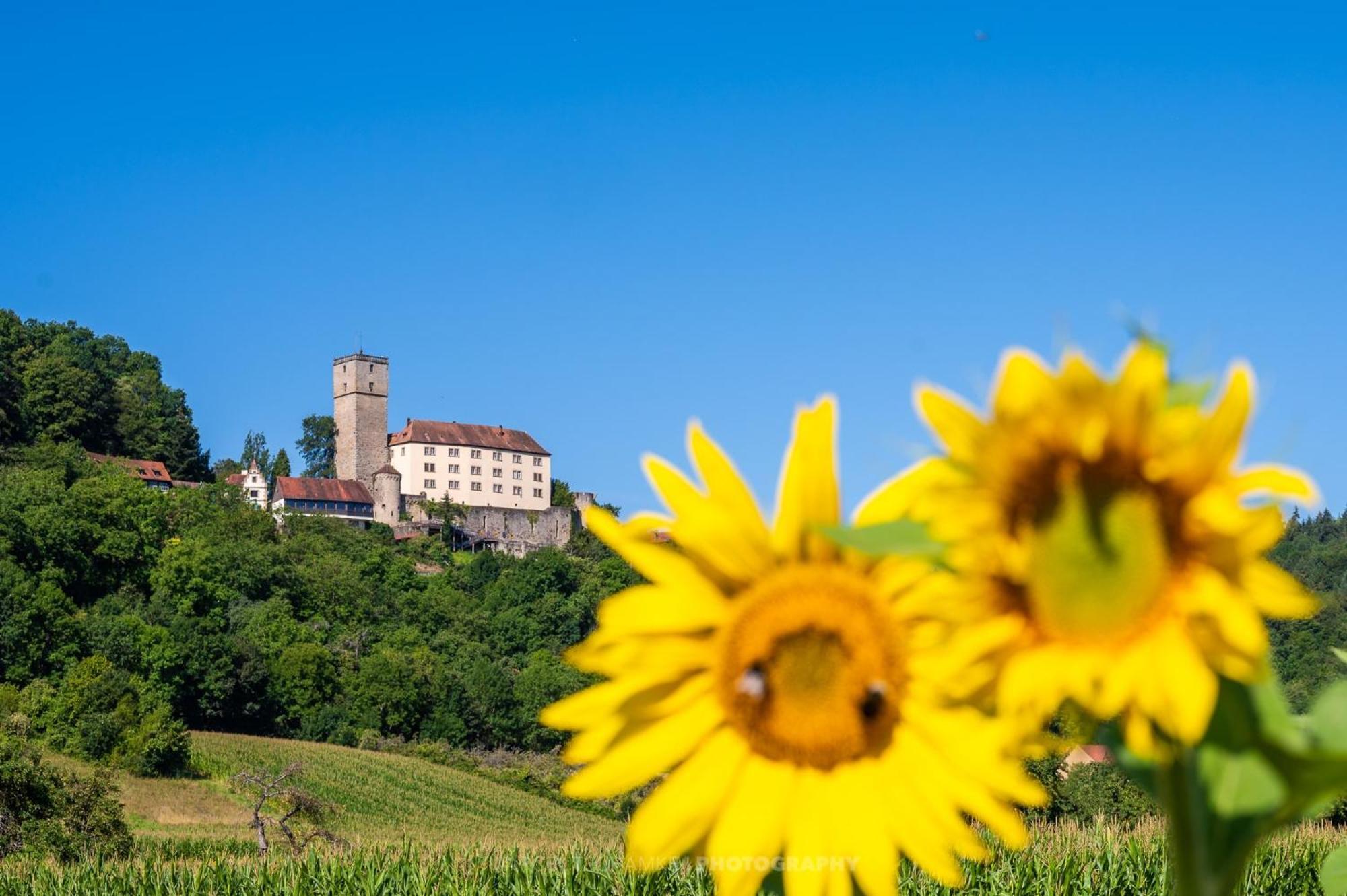 Wohnen Auf Der Ritterburg Villa Hassmersheim Luaran gambar